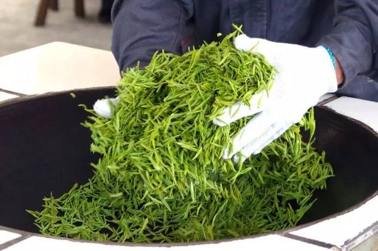 自家炒茶葉怎么炒，自己炒茶葉的步驟