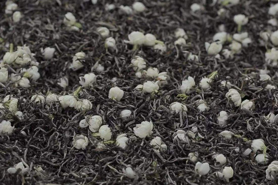 茉莉茶的種類和等級(jí)，茉莉花茶的分類