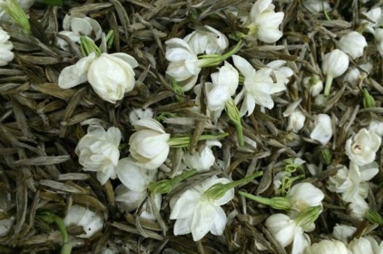 茉莉銀針口感，茉莉銀針是什么味道？