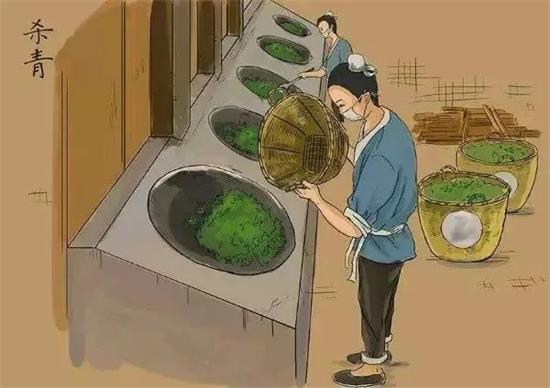 制茶八步驟，制茶工藝流程圖