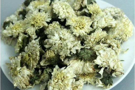 菊花茶買小朵還是大朵，泡茶用的小菊花和大菊花哪個好