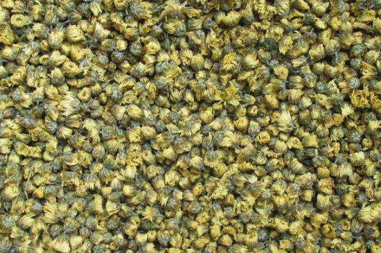 菊花茶大朵小朵有什么區(qū)別，菊花喝大朵還是小朵？