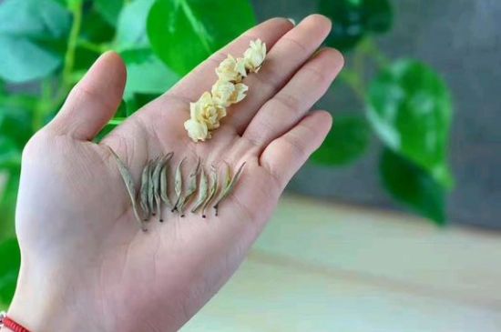 茉莉銀針口感，茉莉銀針是什么味道？