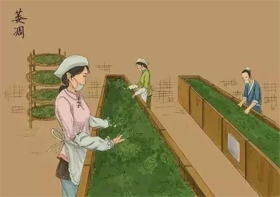 制茶八步驟，制茶工藝流程圖
