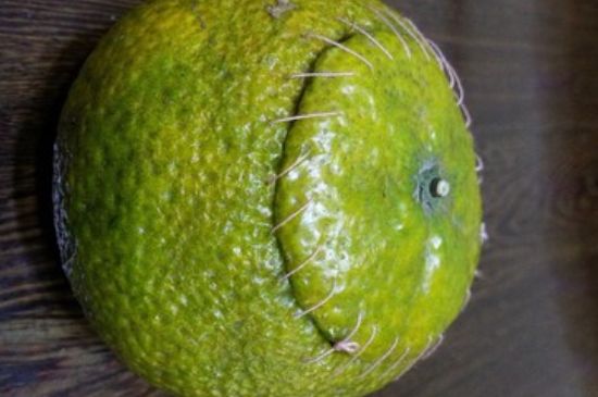 家庭自制柑普茶方法，小青柑制作9個步驟竅門（圖片）