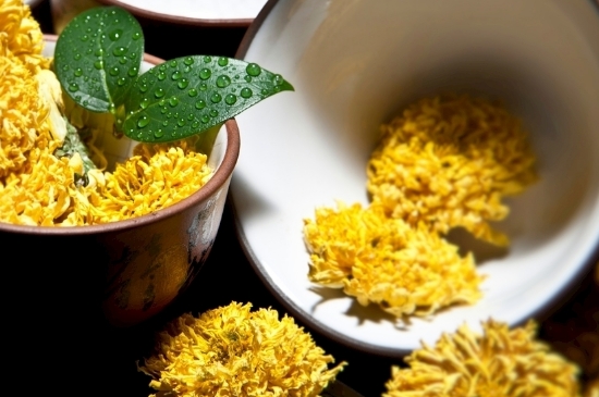 孕婦可以喝菊花茶嗎，菊花對胎兒有致畸作用？