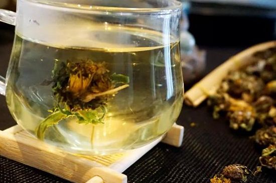 蒲公英最佳搭配，蒲公英茶和什么搭配泡水最佳