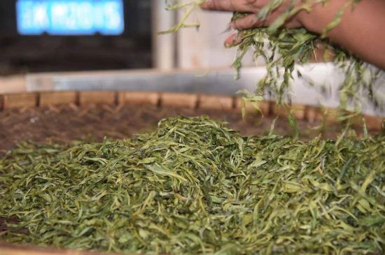 炒青綠茶與綠茶的區(qū)別，烘青和炒青哪個好喝？