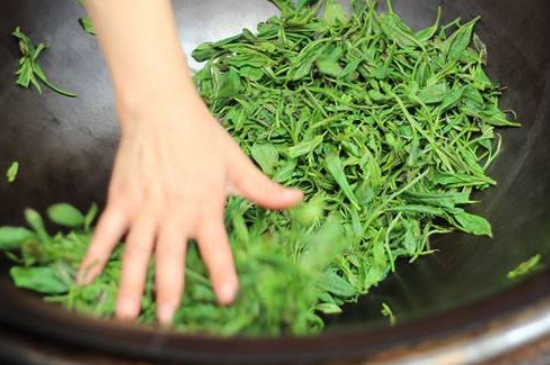 炒青綠茶與綠茶的區(qū)別，烘青和炒青哪個好喝？