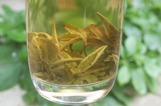 茉莉龍珠泡開(kāi)后為什么都是梗，茉莉龍珠泡開(kāi)后什么樣？