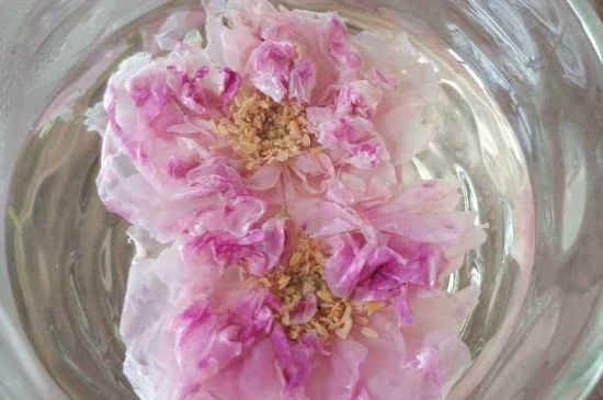 玫瑰花茶上火嗎，盲目喝玫瑰花茶易上火