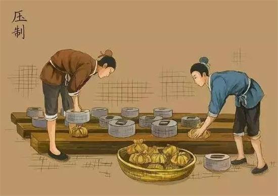 制茶八步驟，制茶工藝流程圖