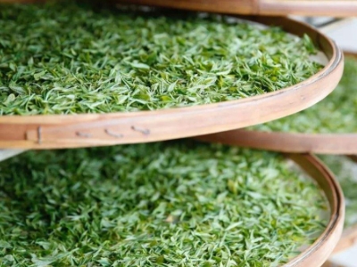 云南八大茶系分別是哪些，都是什么名字