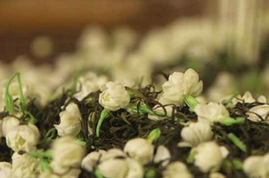 蒸茶器可以蒸花茶嗎，蒸茶器能用來蒸茉莉花茶嗎？