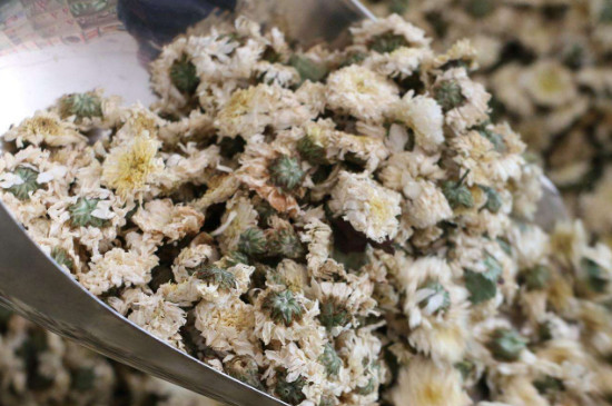 菊花茶買小朵還是大朵，泡茶用的小菊花和大菊花哪個好