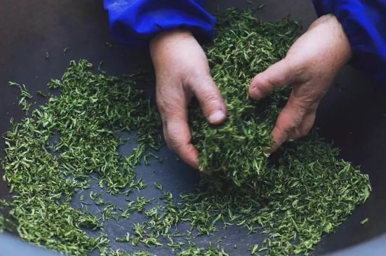 自家炒茶葉怎么炒，自己炒茶葉的步驟