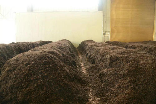 制茶八步驟，制茶工藝流程圖