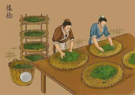 制茶八步驟，制茶工藝流程圖