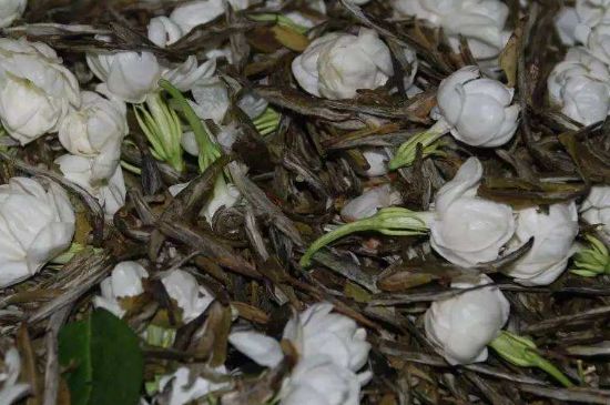 茉莉龍珠怎么做的，茉莉龍珠的制作工藝