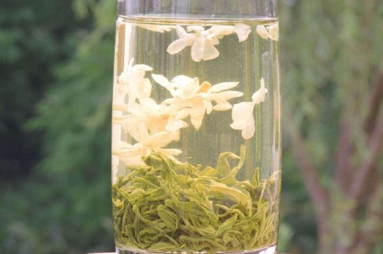 茉莉龍珠可以和什么一起泡茶，茉莉龍珠茶能加蜂蜜嗎？