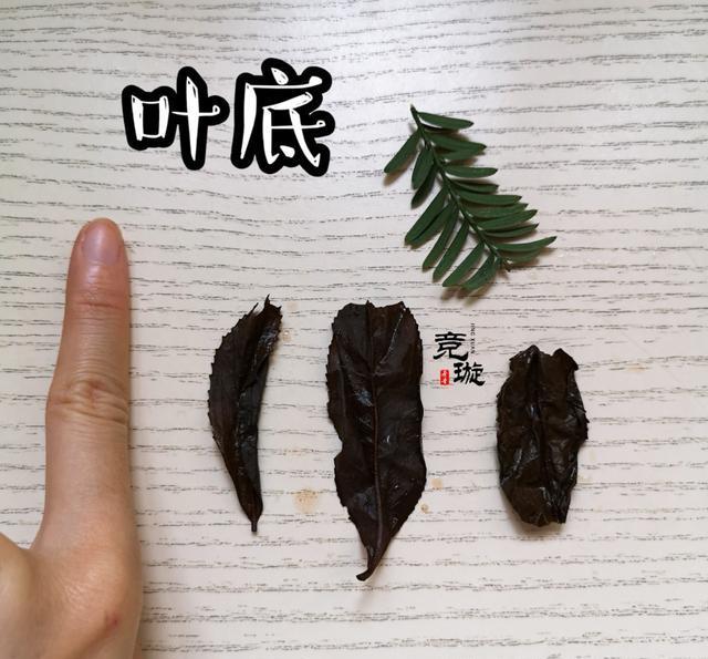 正山小種很細(xì)還很黑亮，正山小種越細(xì)越好嗎
