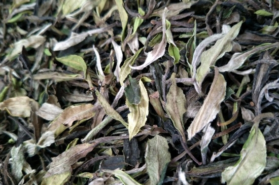 福鼎白茶貢眉和壽眉的區(qū)別，壽眉與貢眉有什么區(qū)別