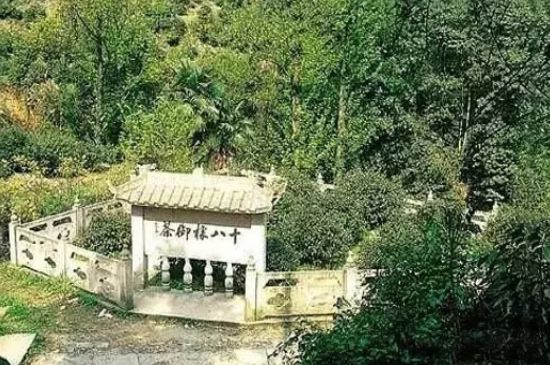 母樹大紅袍給誰喝了，為什么母樹大紅袍叫三棵六株？