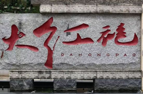 母樹大紅袍給誰喝了，為什么母樹大紅袍叫三棵六株？