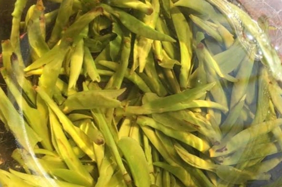 龍井是明前的好還是雨前的好，明前茶和雨前茶哪個好喝？