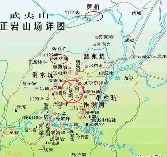 母樹大紅袍給誰喝了，為什么母樹大紅袍叫三棵六株？