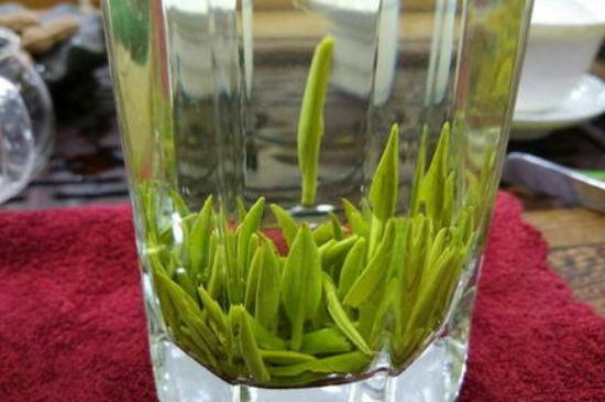 雀舌有一股青草味，雀舌為什么有青草味？