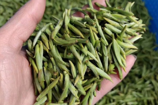 龍井茶好壞的鑒別圖片，如何區(qū)別龍井茶的好壞？