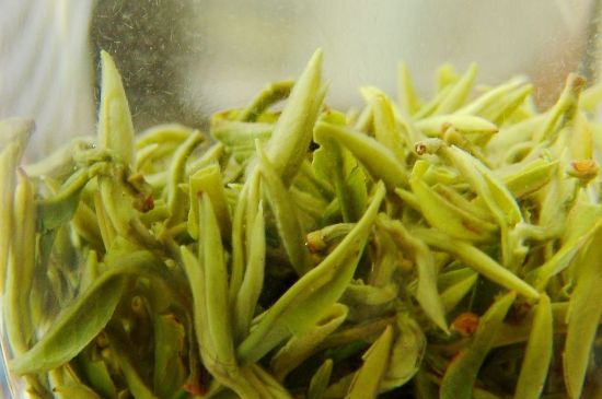 碧螺春為什么泡水渾濁，碧螺春茶葉泡水感覺很臟是混濁的