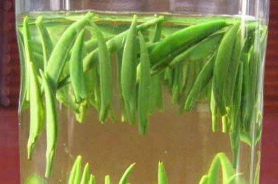 竹葉青和毛尖的區(qū)別，毛尖和竹葉青怎么分辨？