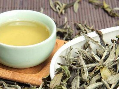 大紅袍好還是白茶好，福鼎白茶和大紅袍哪個貴？