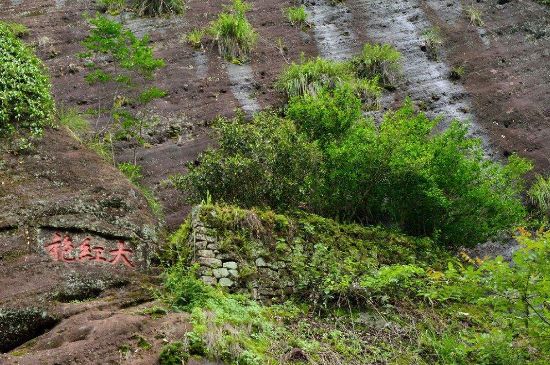 武夷巖茶大紅袍，喝起來是什么味道？