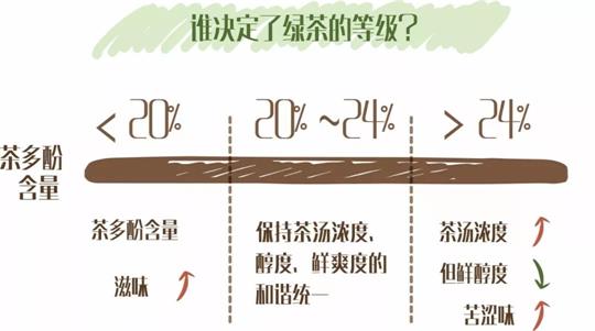 什么綠茶口味重口感濃郁，口味比較重的綠茶都有那些？