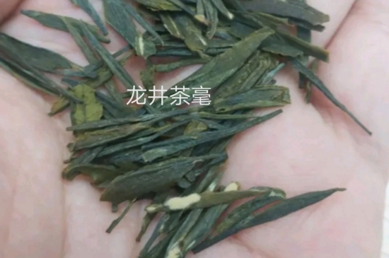 西湖龍井茶毫和發(fā)霉區(qū)別圖片，長霉的龍井茶葉會是什么樣？