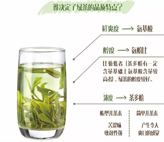 什么綠茶口味重口感濃郁，口味比較重的綠茶都有那些？