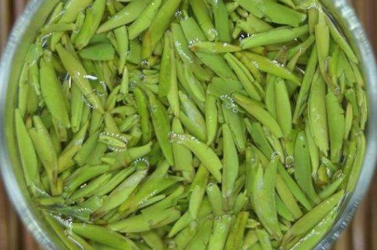 金壇雀舌什么檔次，金壇雀舌算不算好茶？