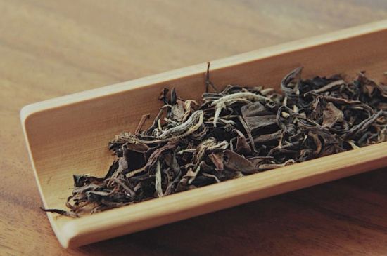 怎么撬老白茶茶餅不容易碎，福鼎白茶如何撬茶方法