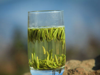 竹葉青茶怎么樣，檔次較高味道略苦價格比較貴