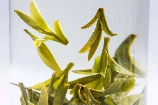 烏牛早和龍井的區(qū)別圖片，龍井43號和烏牛早茶的對比