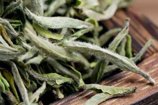 荒野銀針有什么特點(diǎn)，荒野銀針的味道口感咋樣？