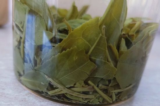 綠茶陳茶和新茶區(qū)別，綠茶怎樣區(qū)分新茶和陳茶