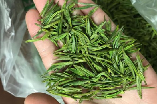 什么綠茶茶葉唇齒留香，哪個(gè)品種綠茶香氣好？
