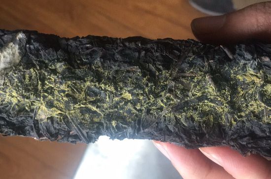 怎么知道涇渭茯茶是否變質，茯磚茶金花和發(fā)霉的區(qū)別