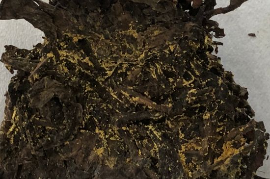 怎么知道涇渭茯茶是否變質，茯磚茶金花和發(fā)霉的區(qū)別