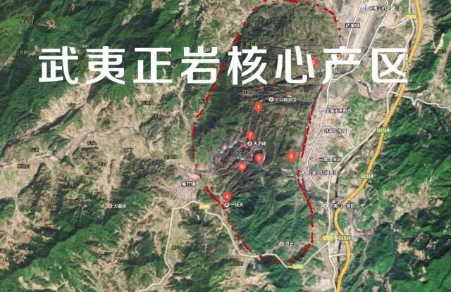 武夷山為什么盛產(chǎn)茶葉，武夷山茶為什么好喝？