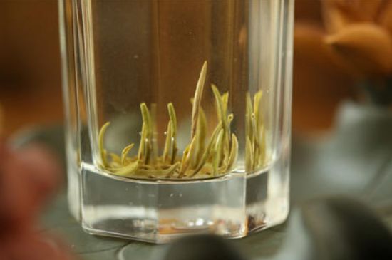 踏雪蘭妃是什么茶，踏雪蘭妃是哪里的茶葉?